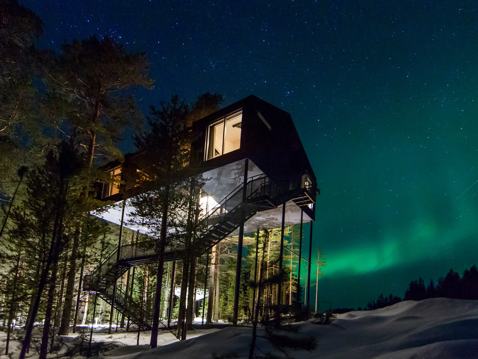 Treehotel — photo 4