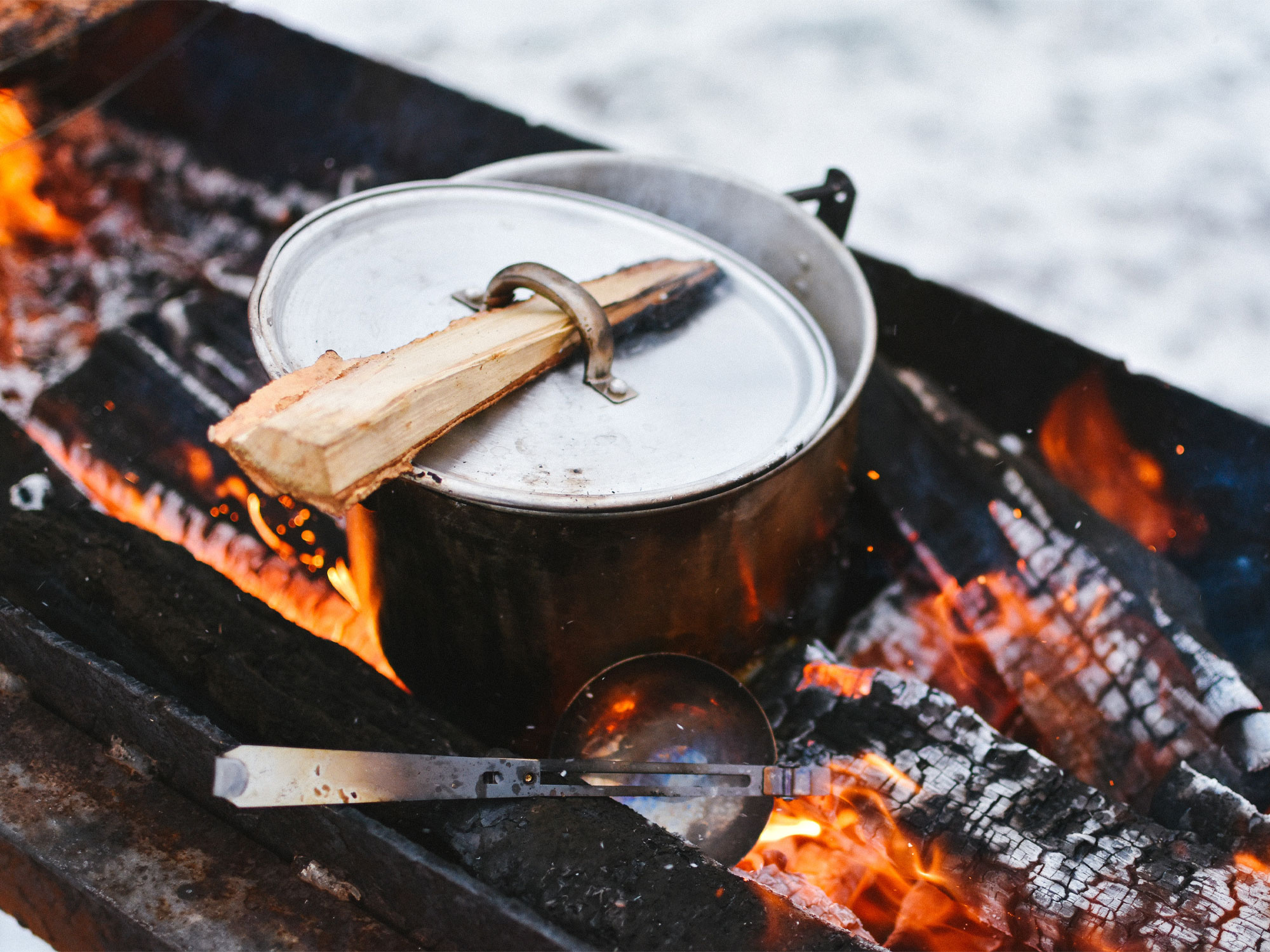 Treehotel Aktiviteter 1