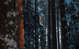 Guided tour of Treehotel