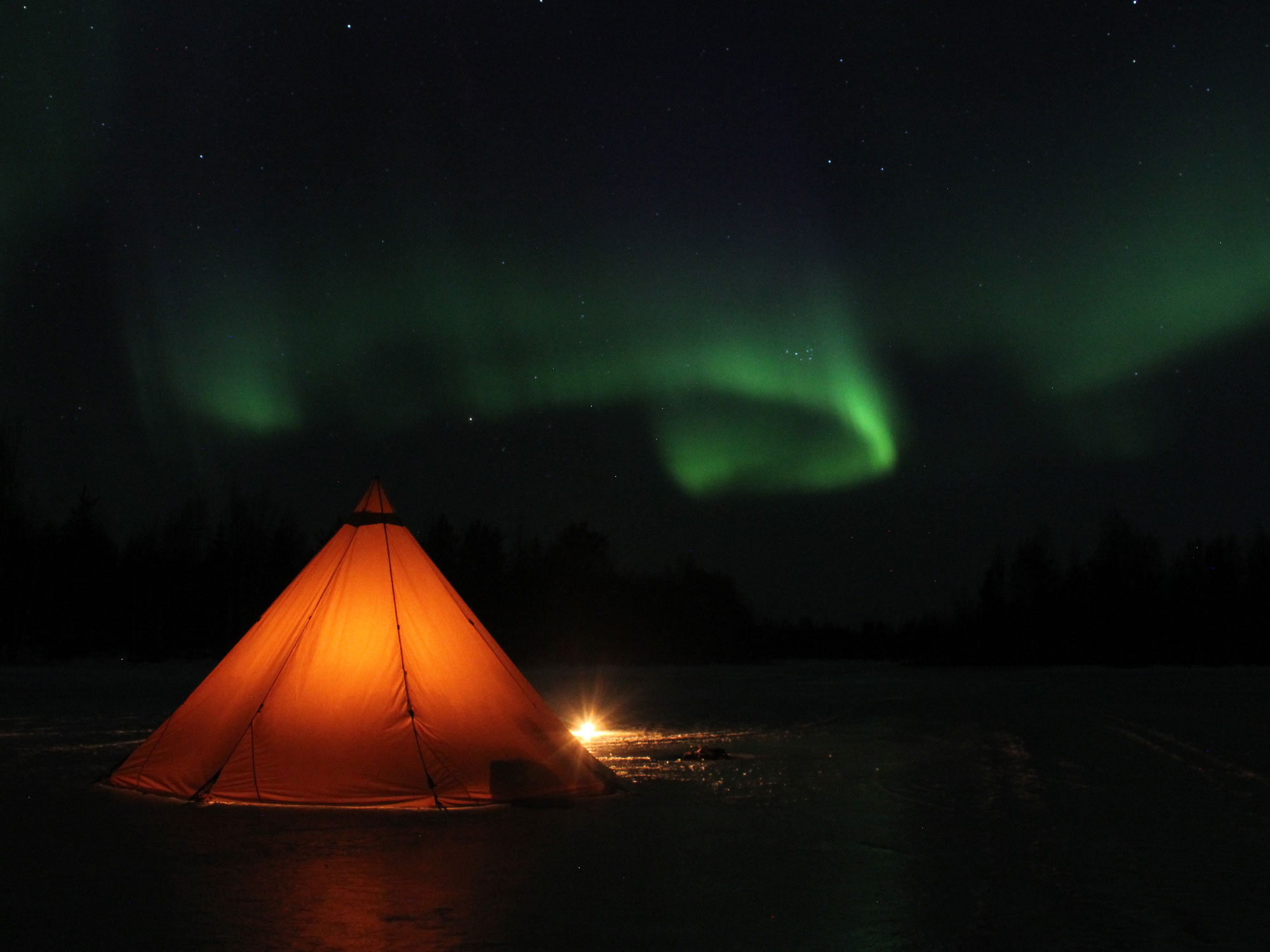 Treehotel Aktiviteter 5