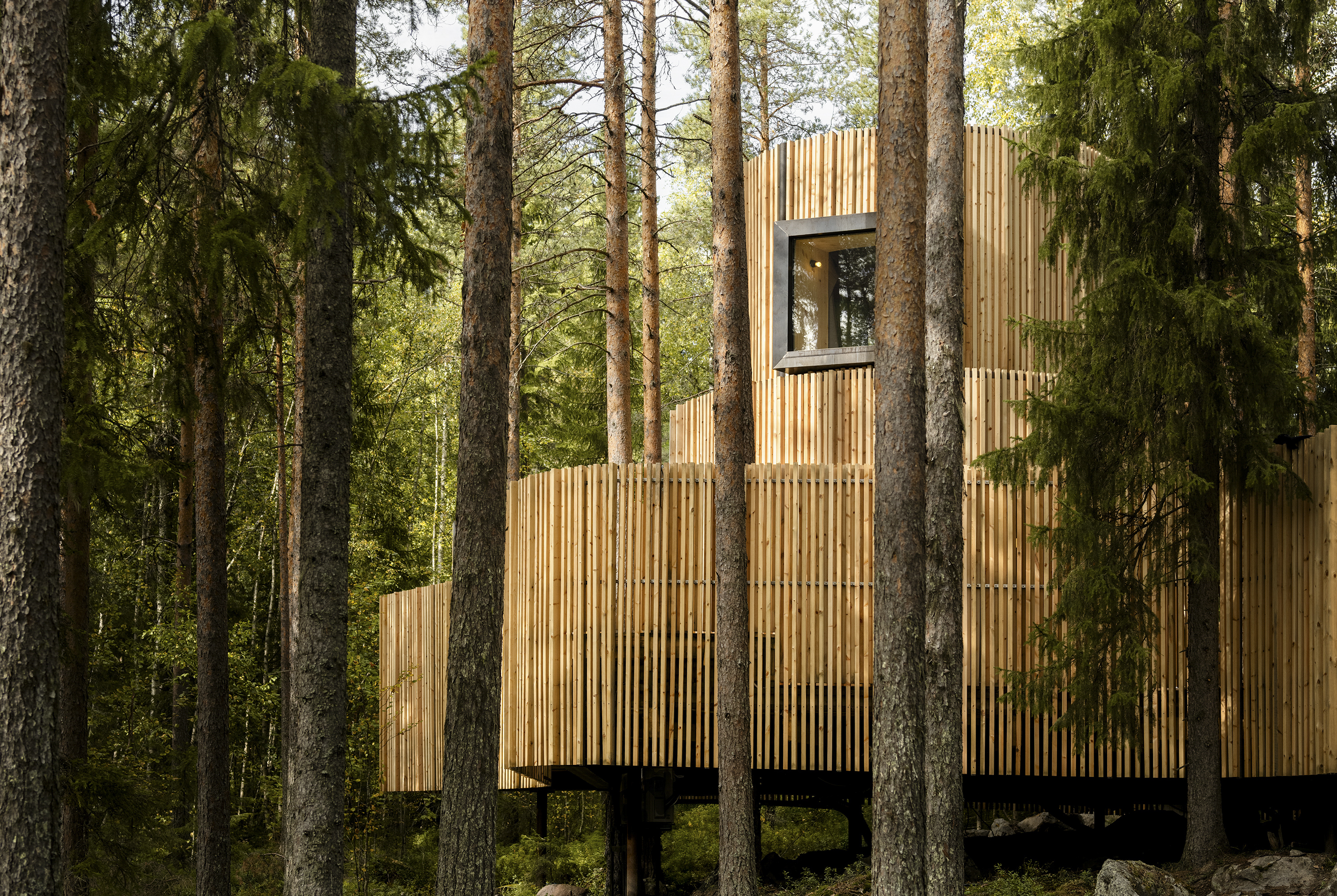 Treehotel Oasis Naden Lind 003 3000Px Liggande