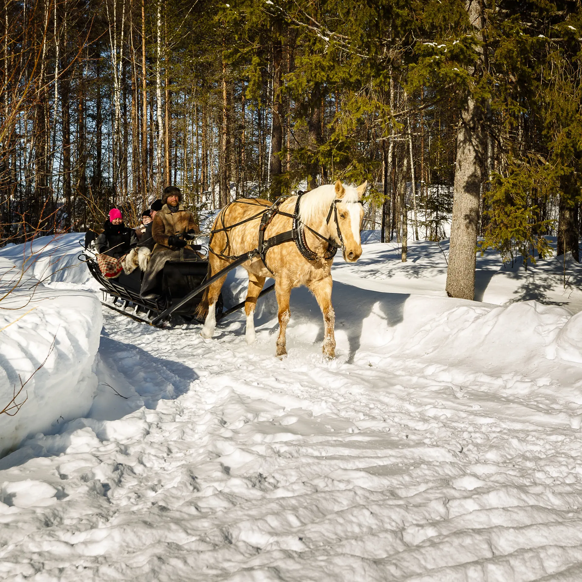 20180326 113126 7083