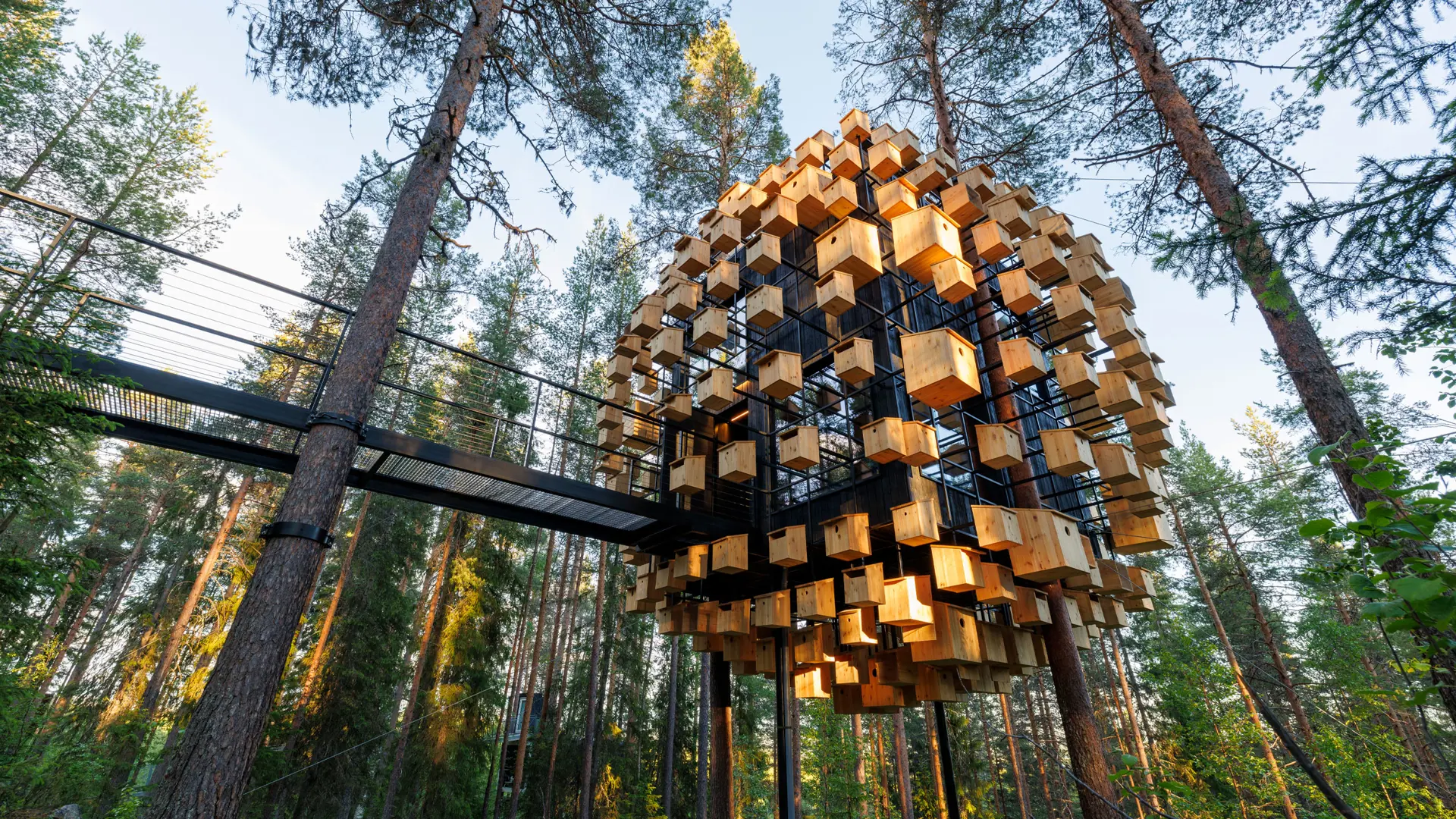 Treehotel