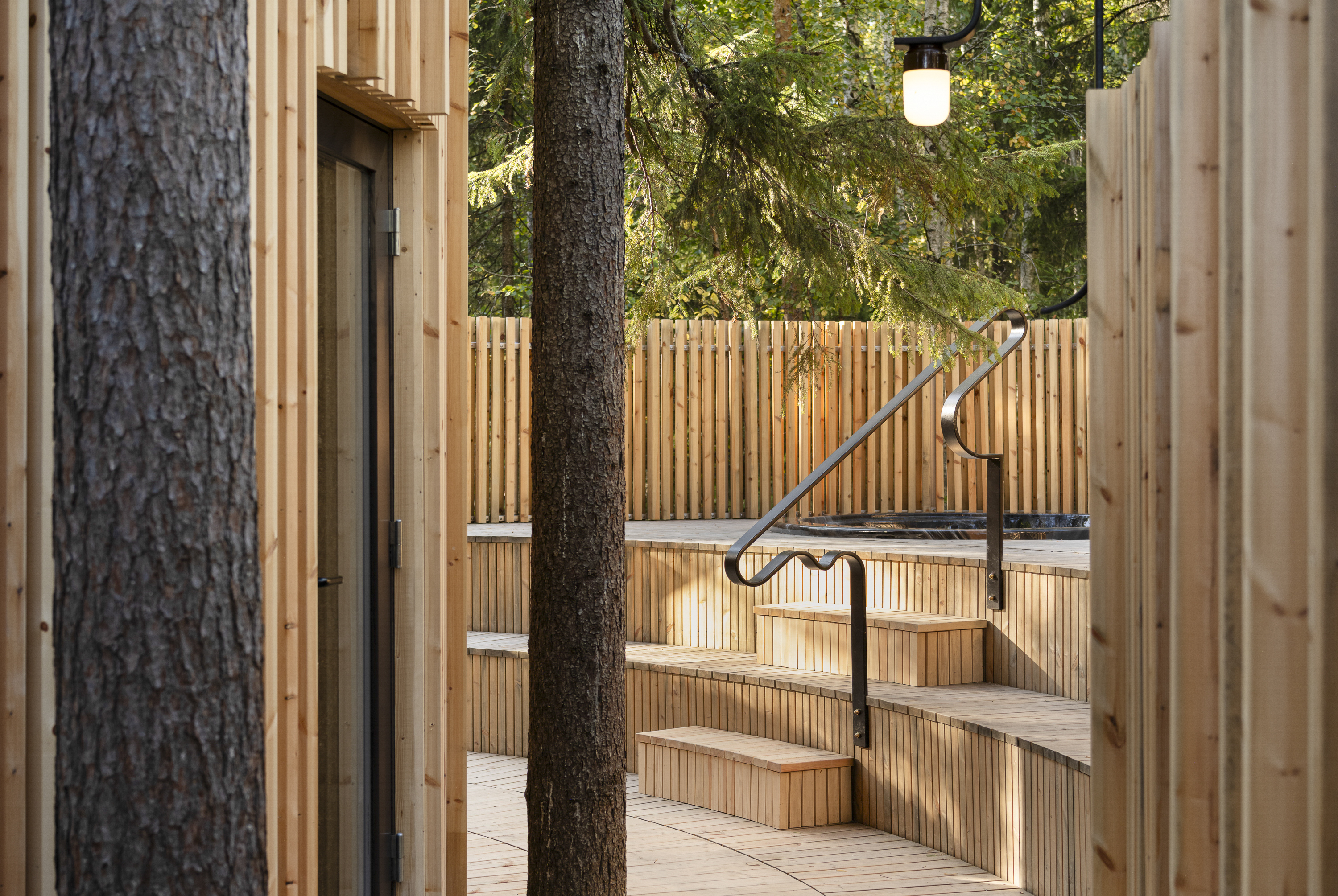 Treehotel Oasis Naden Lind 002 3000Px Liggande