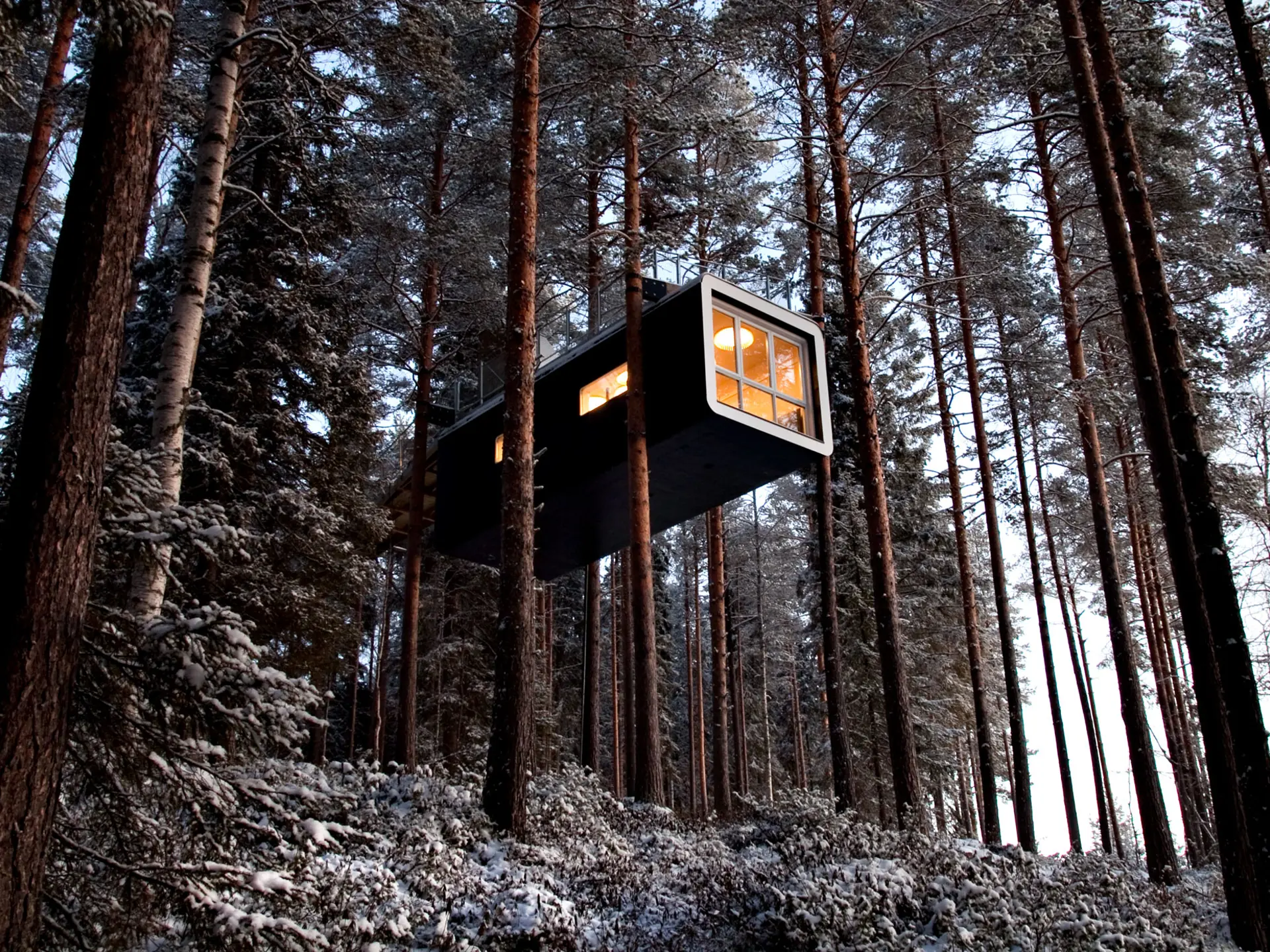 Treehotel — photo 1
