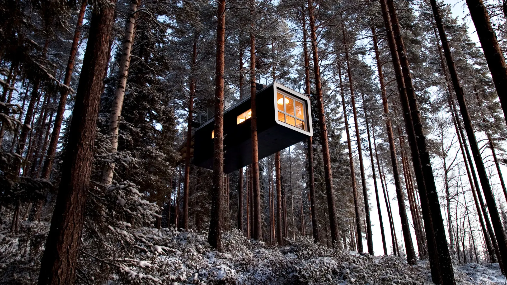 Treehotel Sweden Lapland