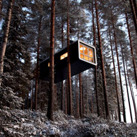 The Cabin