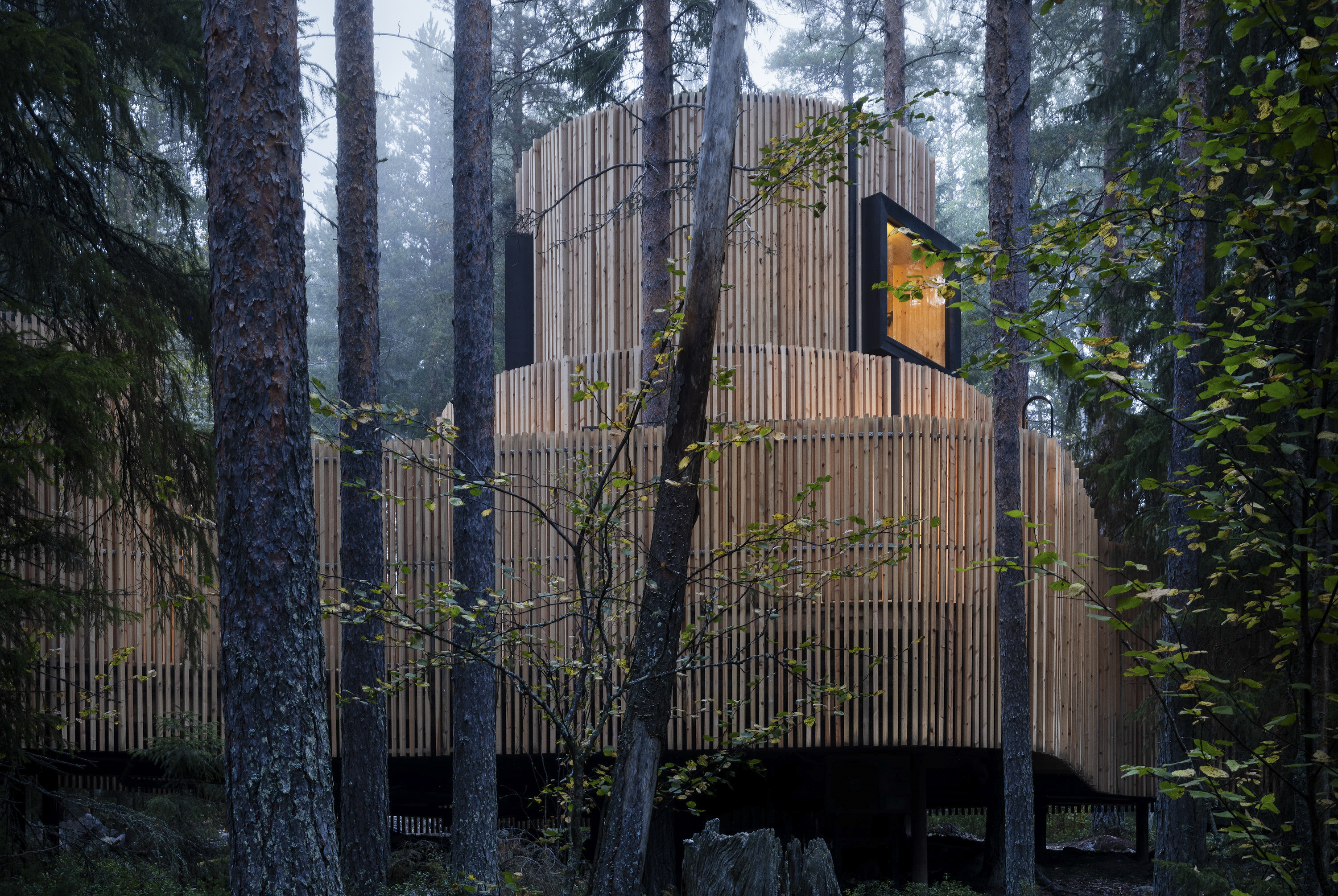 Treehotel Oasis Naden Lind 004 3000Px Liggande