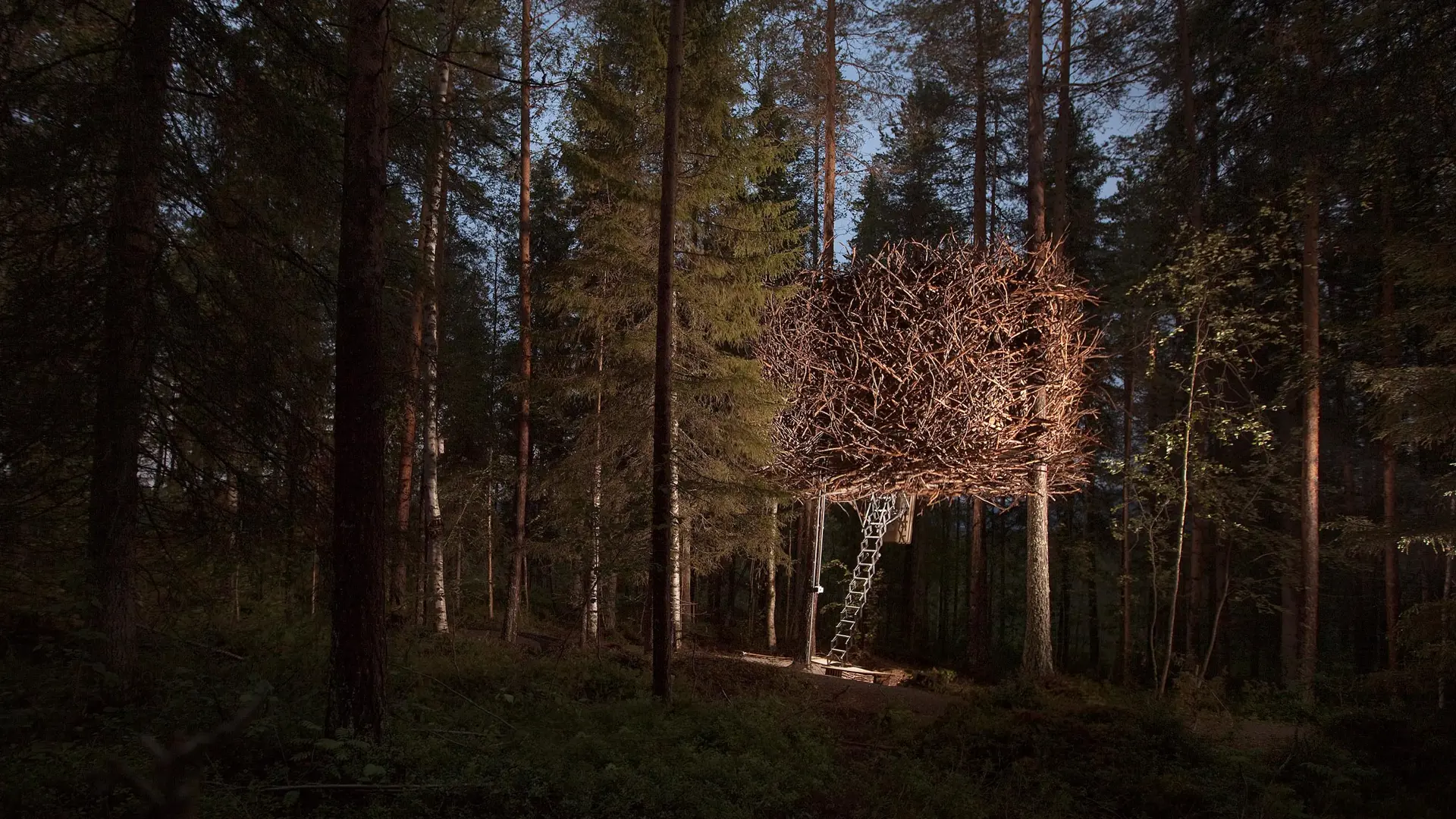 Treehotel