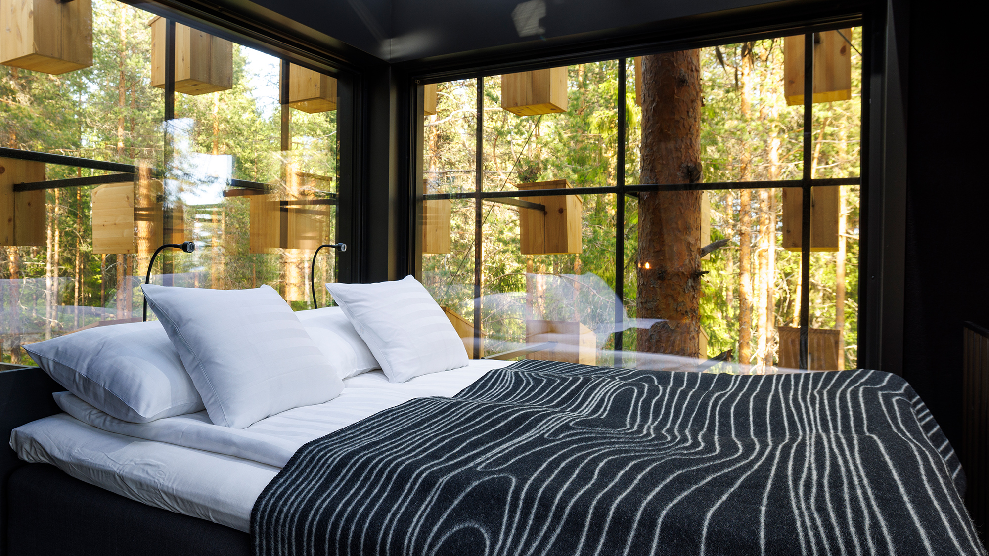 1 Accomodation Carousel Biosphere In Web