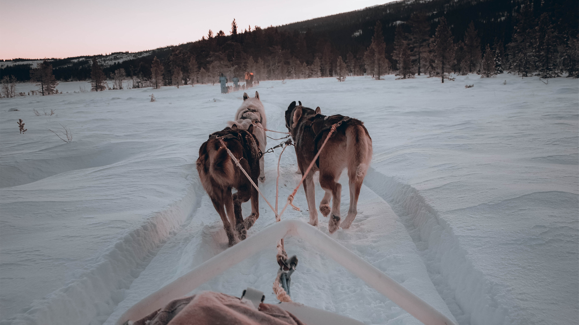 1 Activities Carousel Huskeytour Web