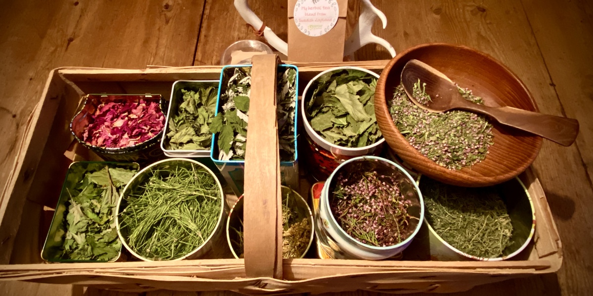 Arctic Herb Workshop 2