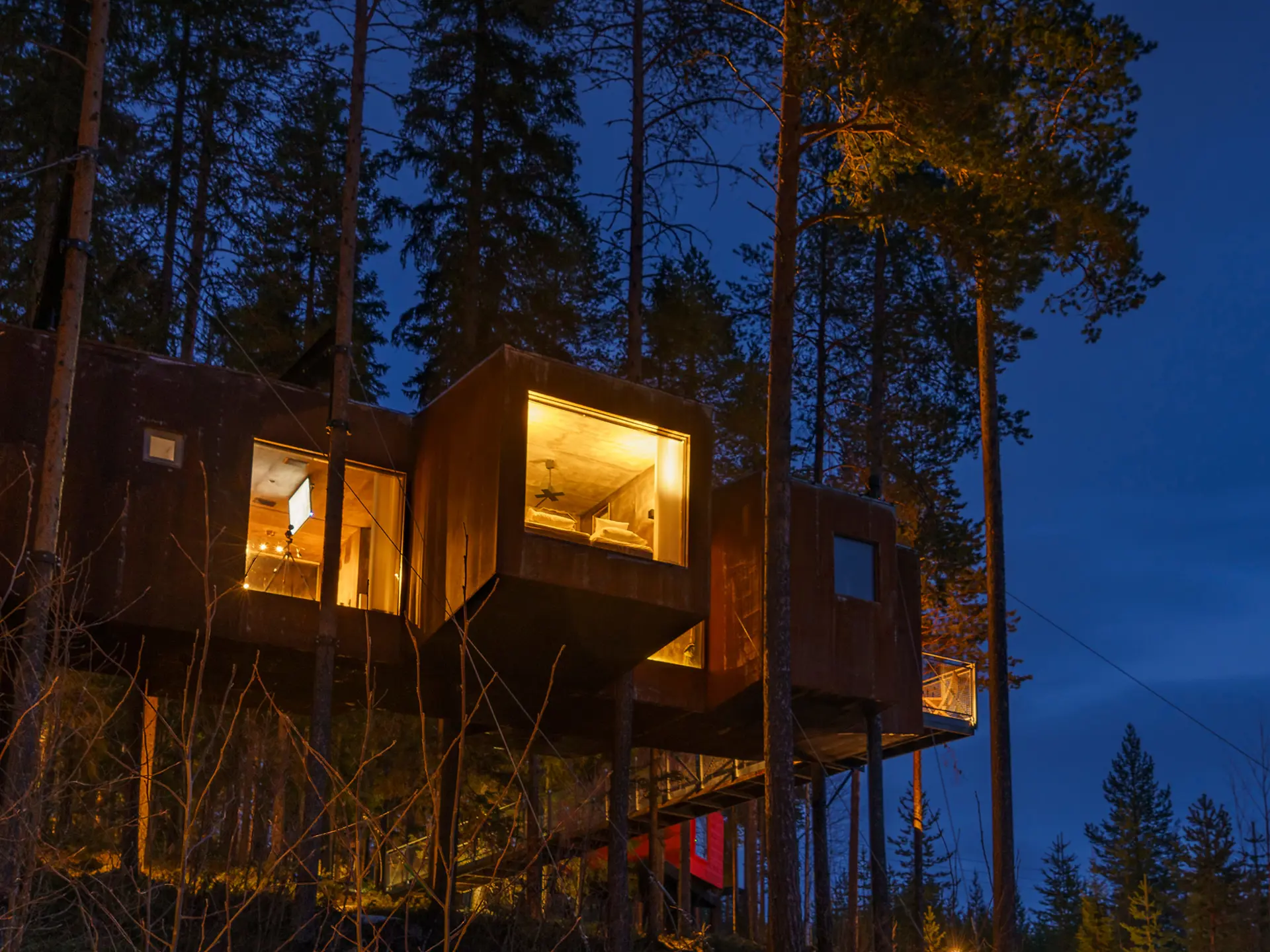 Treehotel — photo 2