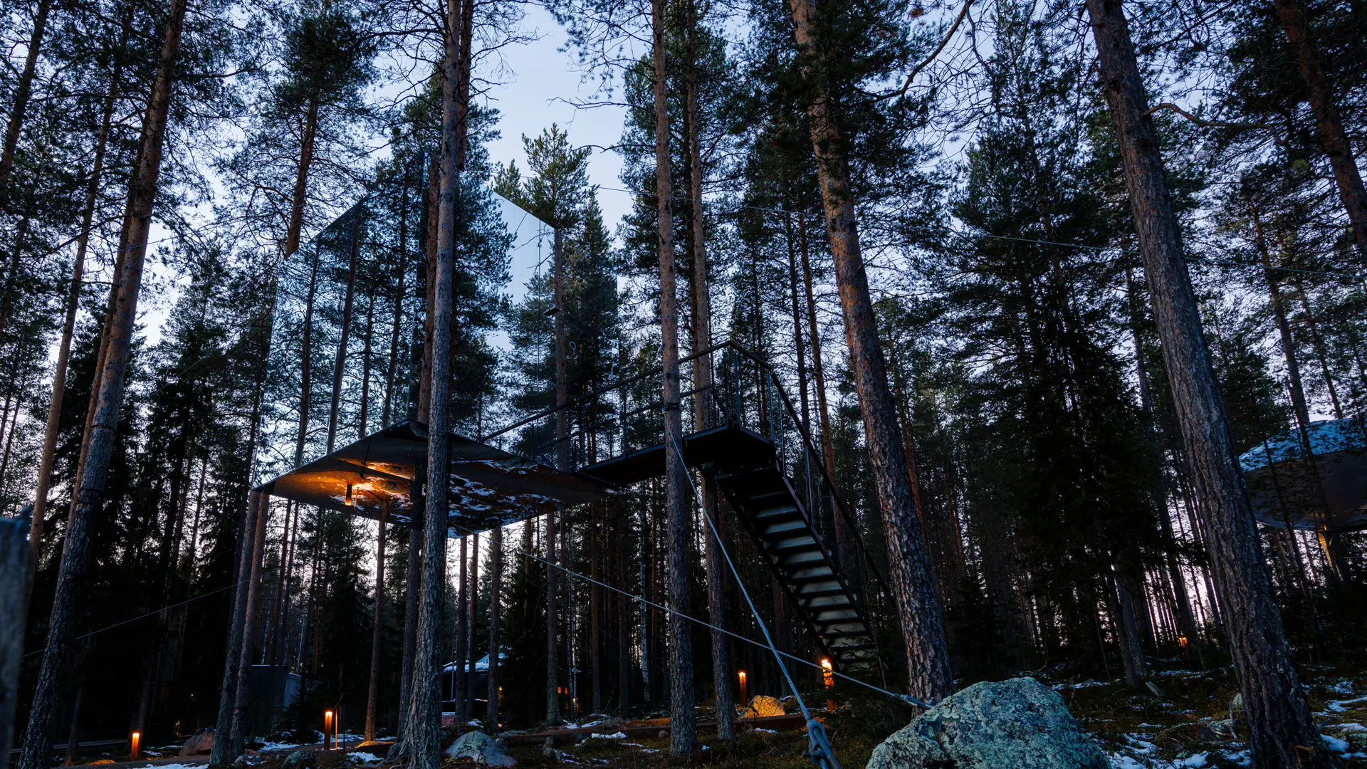 Treehotel under the night sky