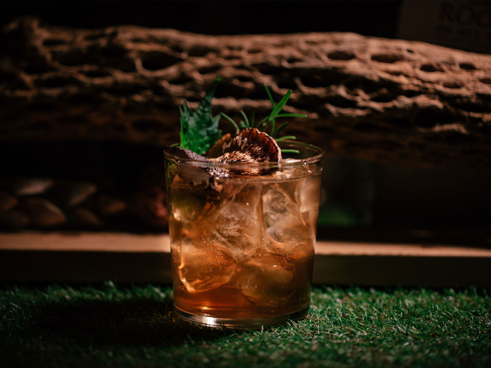 Treehotel Aktiviteter 2