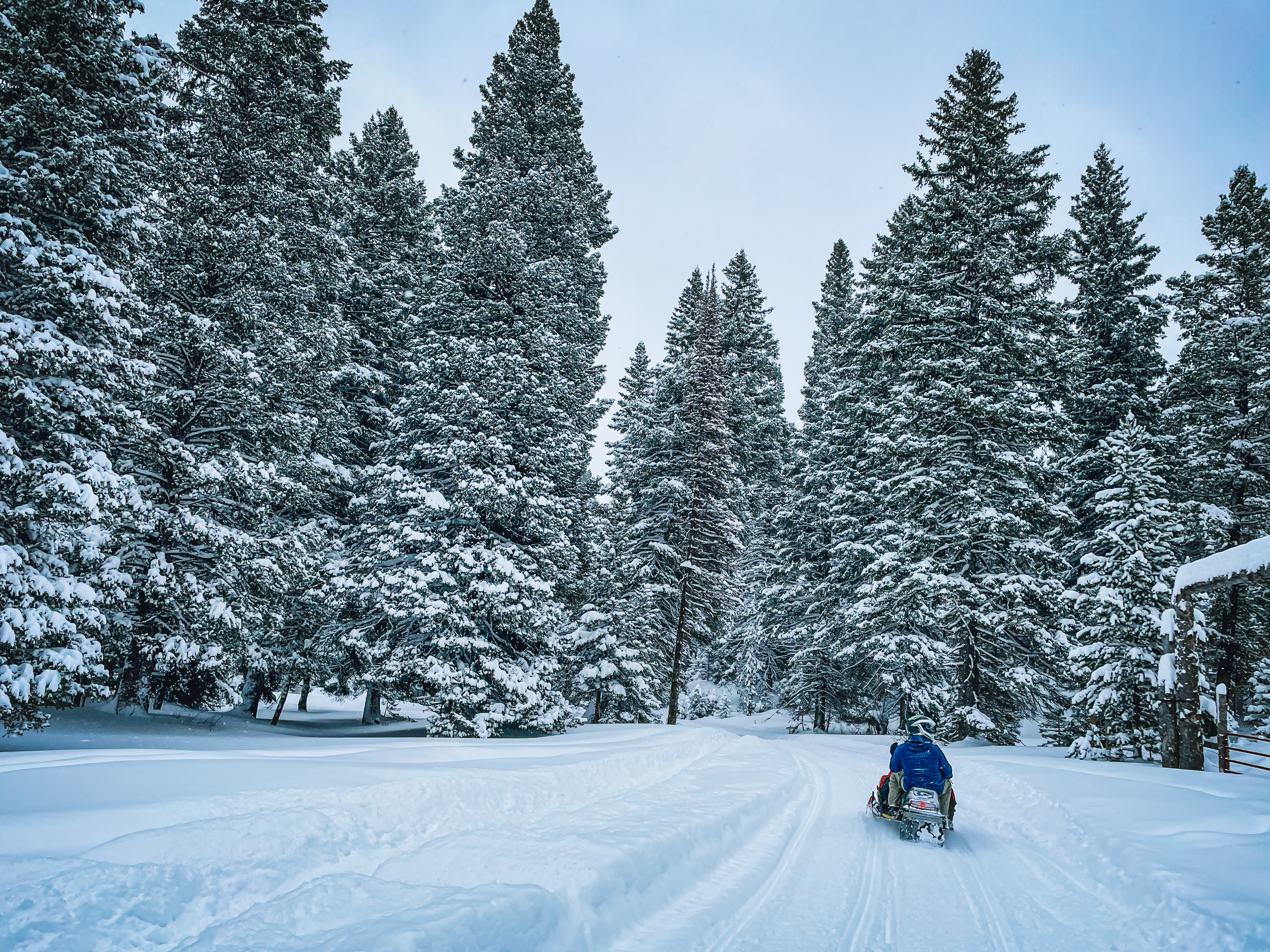 Treehotel.se - Snowmobile safari