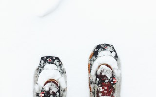 Snowshoe walk