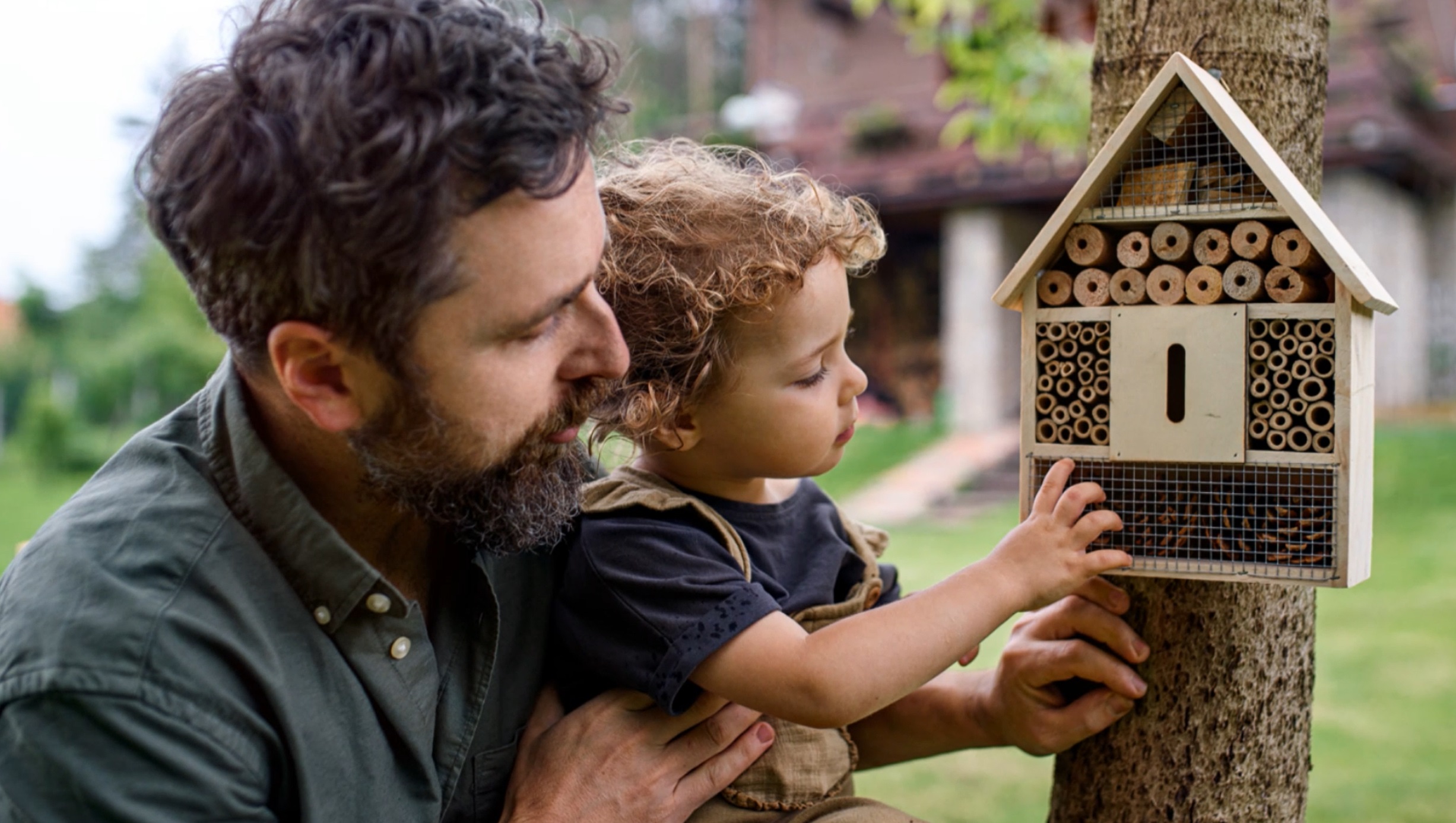 Treehotel.se - Regenerative - Creating an insect hotel for pollinators