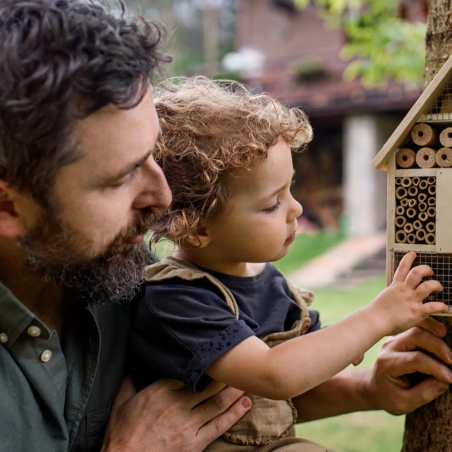 Treehotel.se - Regenerative - Creating an insect hotel for pollinators