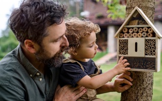 Regenerative - Creating an insect hotel for pollinators