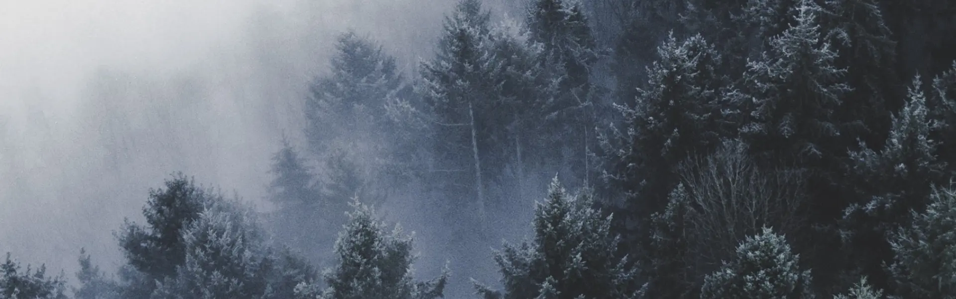 Christian Grab Aygjgcm Vto Unsplash