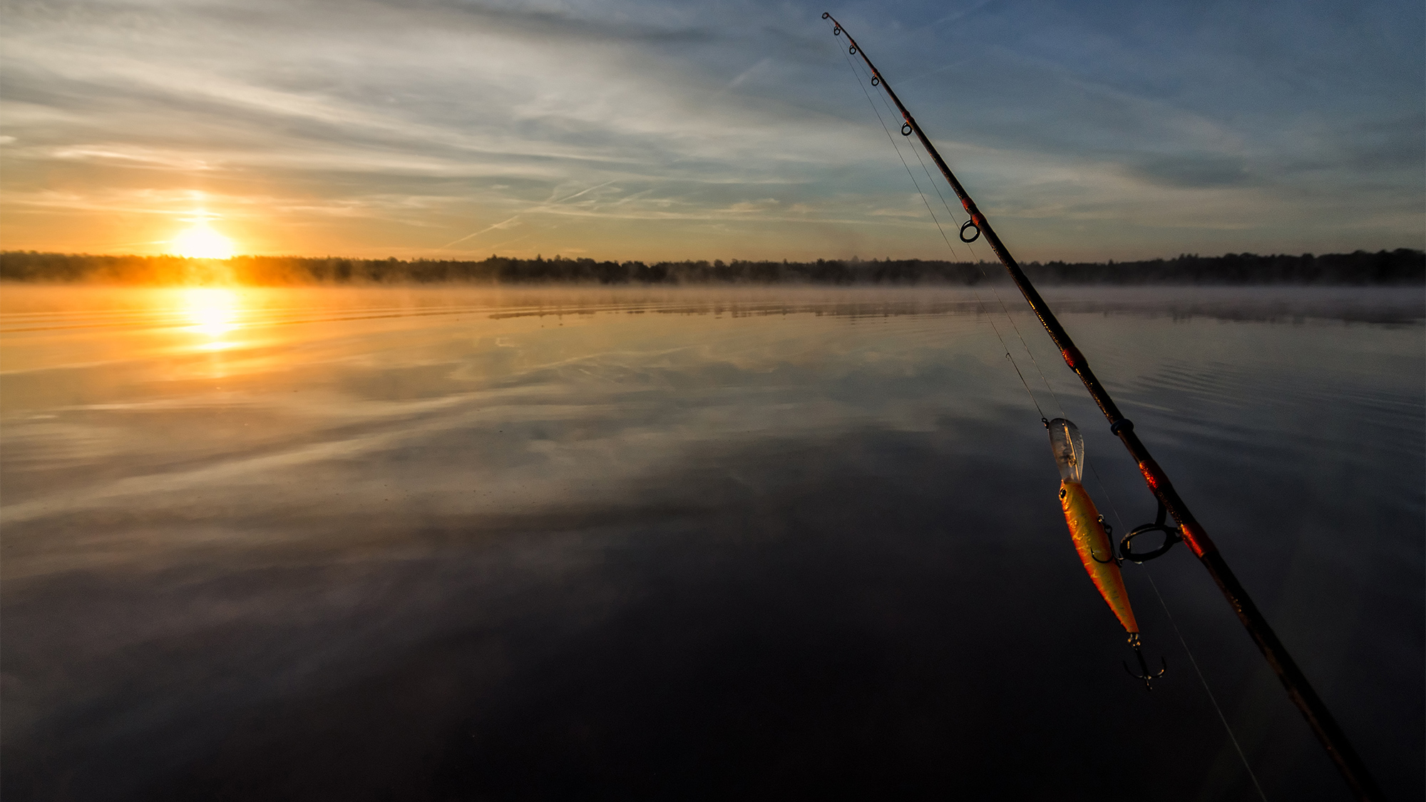 4 Activities Carousel Fishing Web