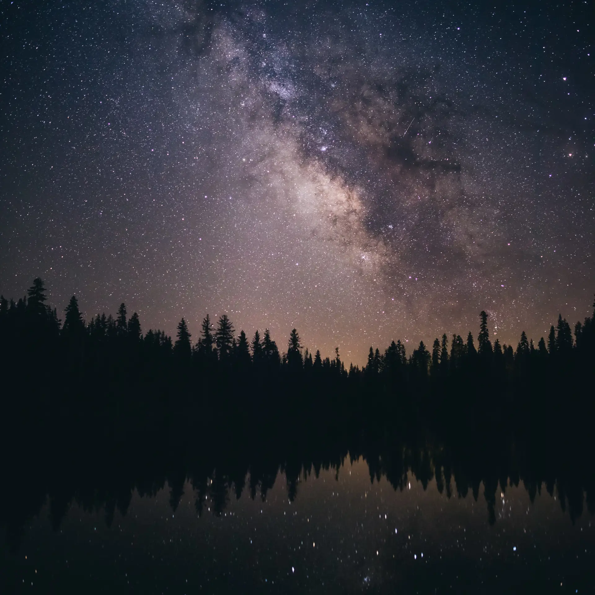 Thomas Ciszewski Jny Xqje230 Unsplash